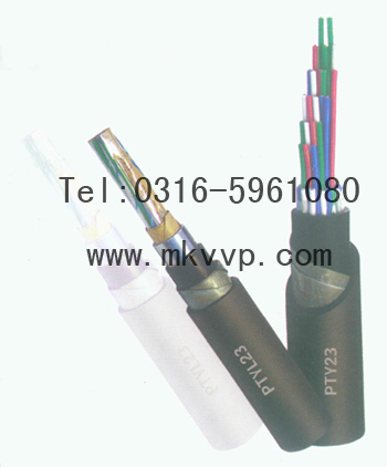 ̖|PVV;PYV;PVV22;PYV22̖