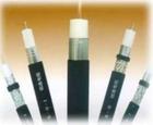 SYV-75-5ҕl;Oؾ 75-9