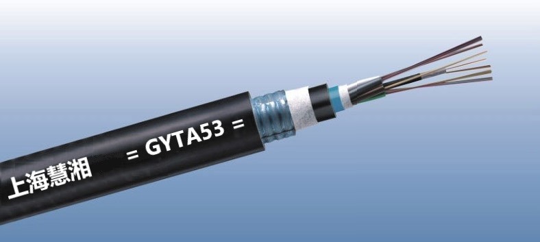 GYTA53 zֱ|