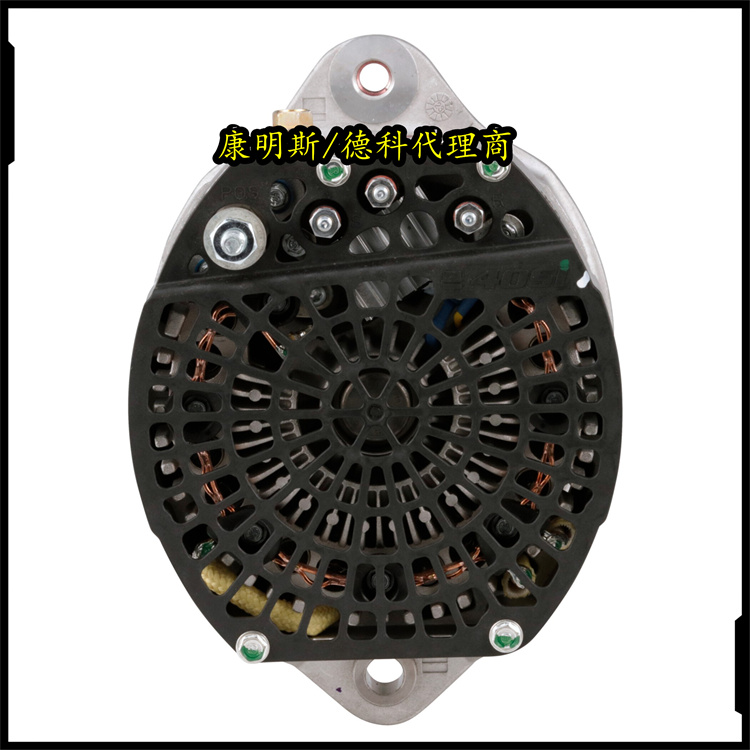 1117817P ALTERNATOR 30SI 24V 100A ¿ }쵽؛