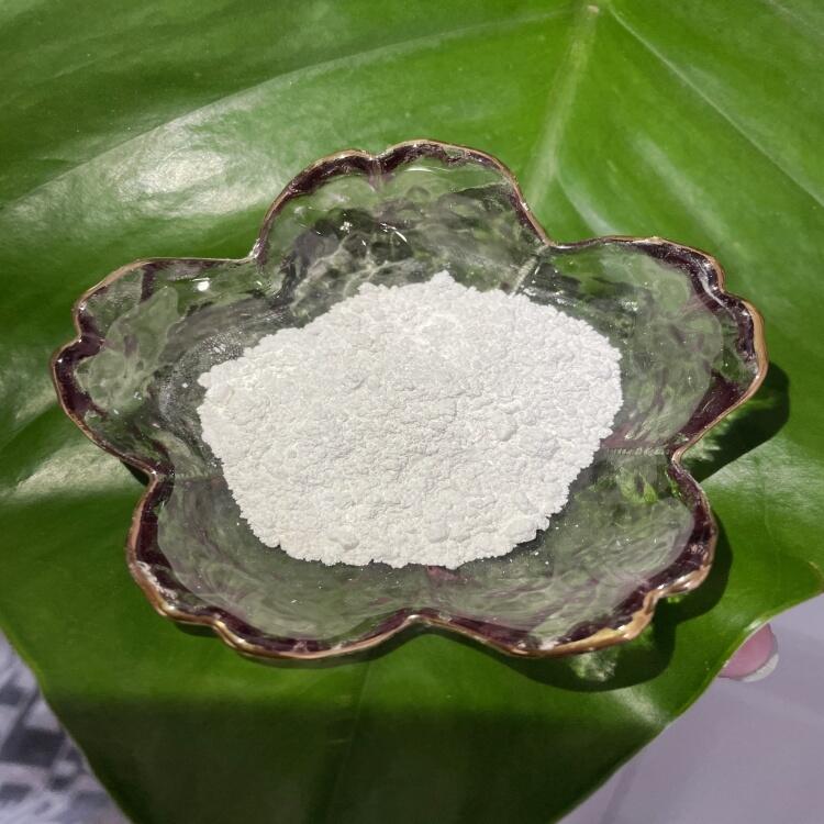 zù΢ ι΢Ƃ