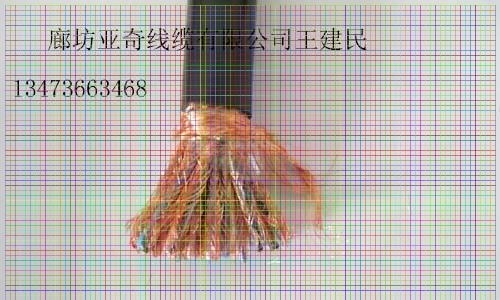 ̌WDZC-HYA23-10*2*0.5ͨpg󌦔|S҃݃r