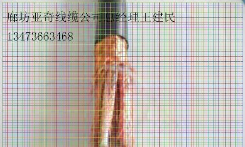 ɽWDZC-HYA23-10*2*0.5󌦔ͨ|ʩ