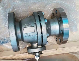 KTMДyEB12G DN20 PN50